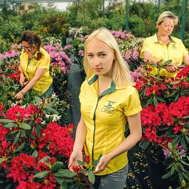 Садовый центр 